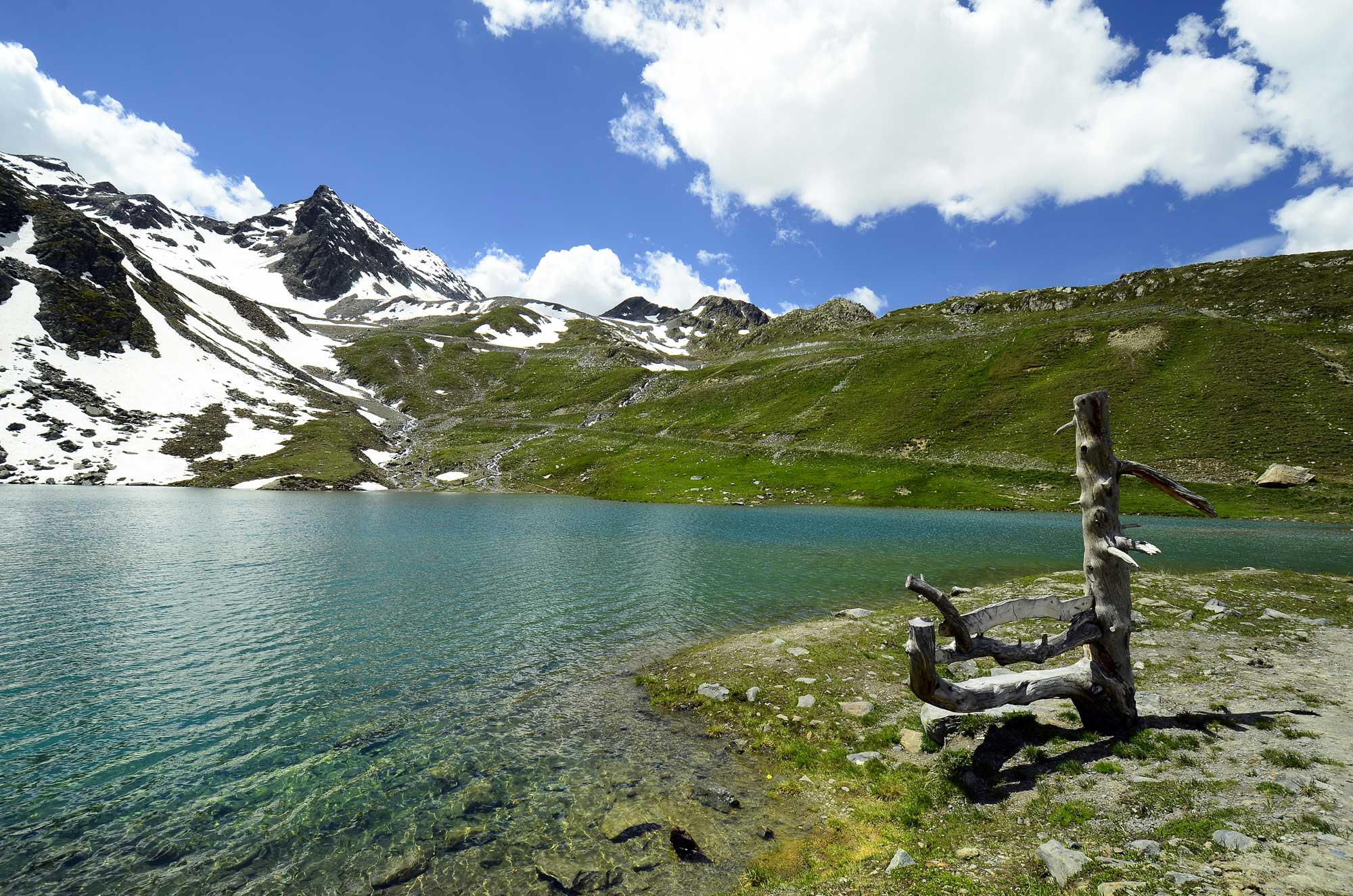 84. Tiroler Oberland und Kaunertal - ERVICo